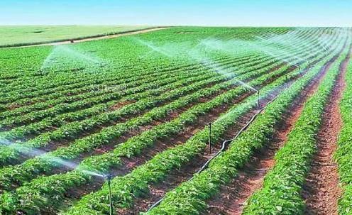 三区操逼r片农田高 效节水灌溉